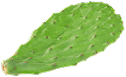 sastāvs